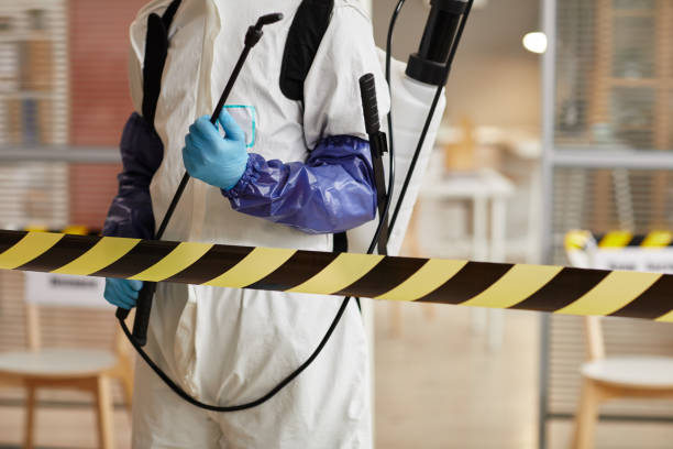 Professional Blood Cleanup technician working in Lakewood, OH